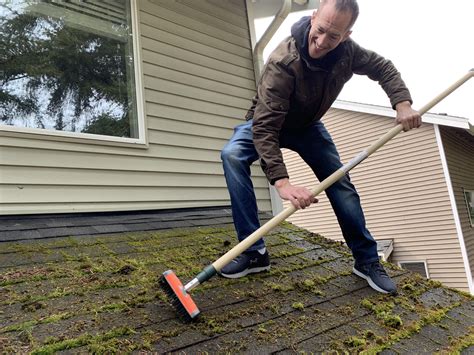 Moss removal from roof. Things To Know About Moss removal from roof. 